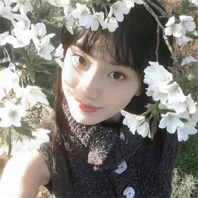 放学后海堤日记