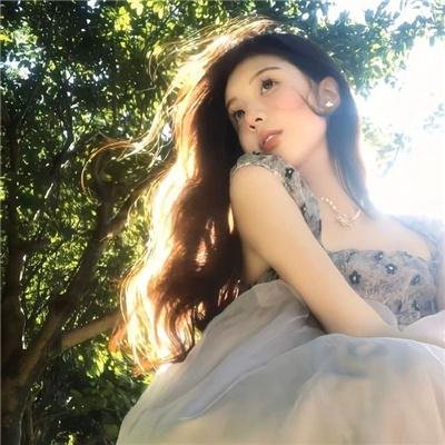 老处女日记